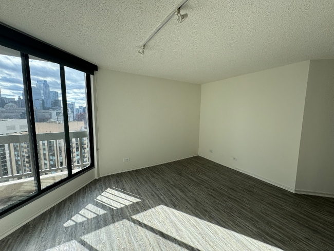45 W Chicago Ave in Chicago, IL - Building Photo - Building Photo