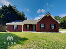 301 Lacebark Ln in Hampton, GA - Building Photo