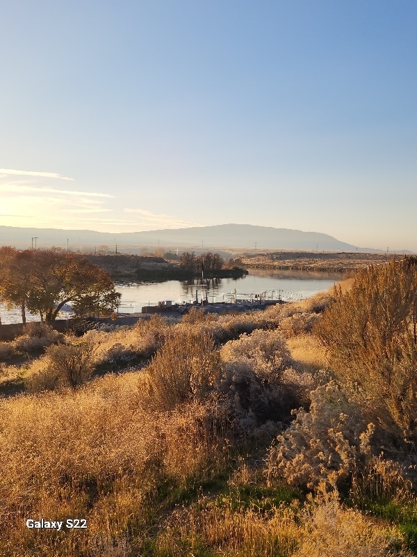 710 Catskill St in Richland, WA - Foto de edificio - Building Photo