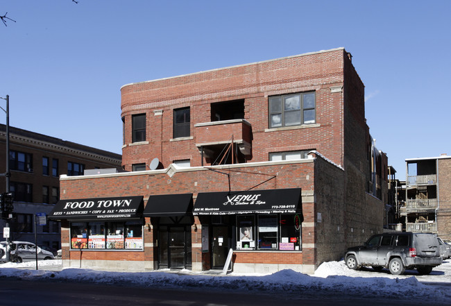 856 W Montrose Ave in Chicago, IL - Building Photo - Building Photo