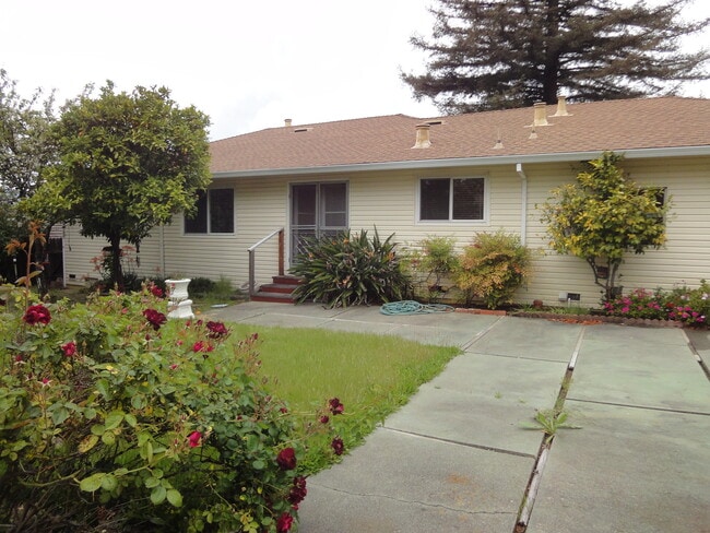 4 Zandra Pl in Novato, CA - Building Photo - Building Photo