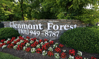 Glenmont Forest in Silver Spring, MD - Building Photo - Building Photo