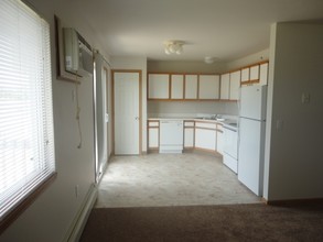 Pine Lake Village Apartments in Newaygo, MI - Building Photo - Interior Photo