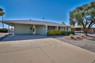 11838 N Sun Valley Dr in Sun City, AZ - Building Photo