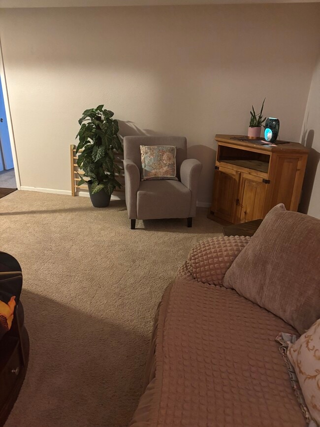 3740 E 99th Way, Unit Basement Apt. in Thornton, CO - Building Photo - Building Photo