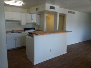 The Lowell Apartments in Tucson, AZ - Building Photo - Building Photo