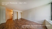 222 E Pearson St in Chicago, IL - Building Photo - Building Photo