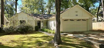 28 E Lance Leaf Rd in Spring, TX - Building Photo