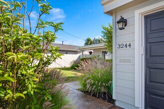 3244 Marathon Drive in San Diego, CA - Building Photo - Building Photo