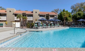 Avana Tempe in Tempe, AZ - Building Photo