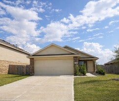 1315 Millers Pass Dr in Rosenberg, TX - Building Photo