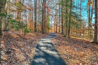 Apartments in Mechanicsville, VA