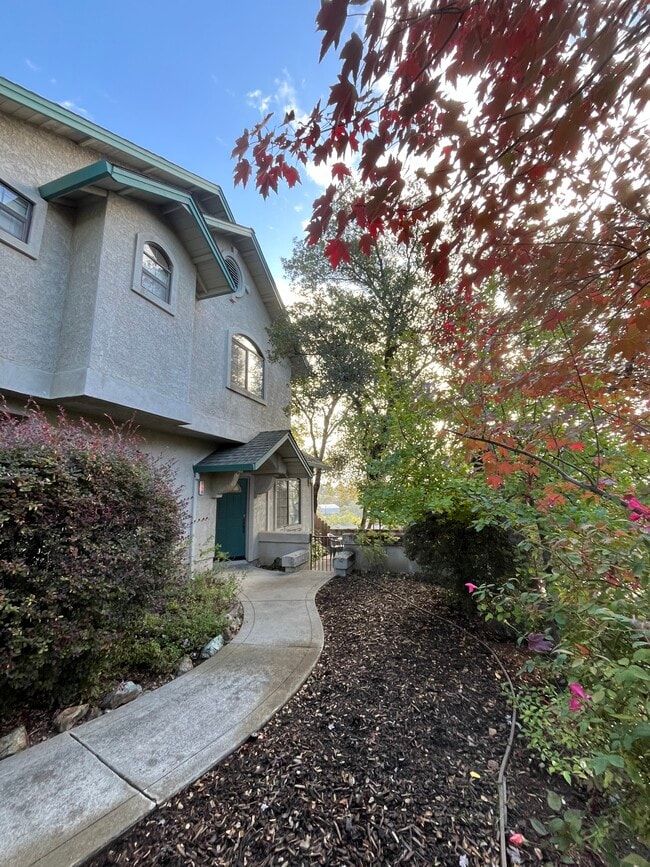 258 Hoffman Ave in Auburn, CA - Building Photo - Building Photo