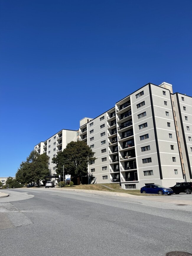 property at 411 Ellerdale St