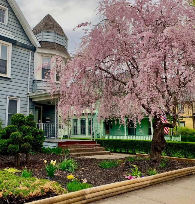 property at 307 N Main St