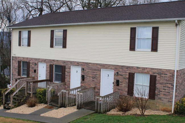 703 Fall St in Johnson City, TN - Building Photo - Building Photo