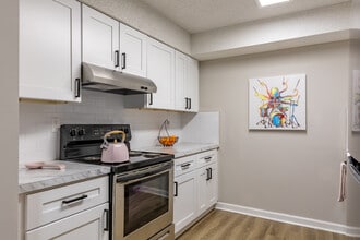 Spring Chase Apartments in Stone Mountain, GA - Building Photo - Interior Photo