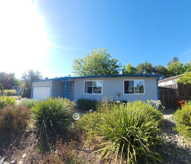property at 295 Cerro Romauldo Ave