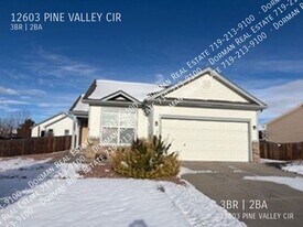 12603 Pine Valley Cir in Peyton, CO - Building Photo