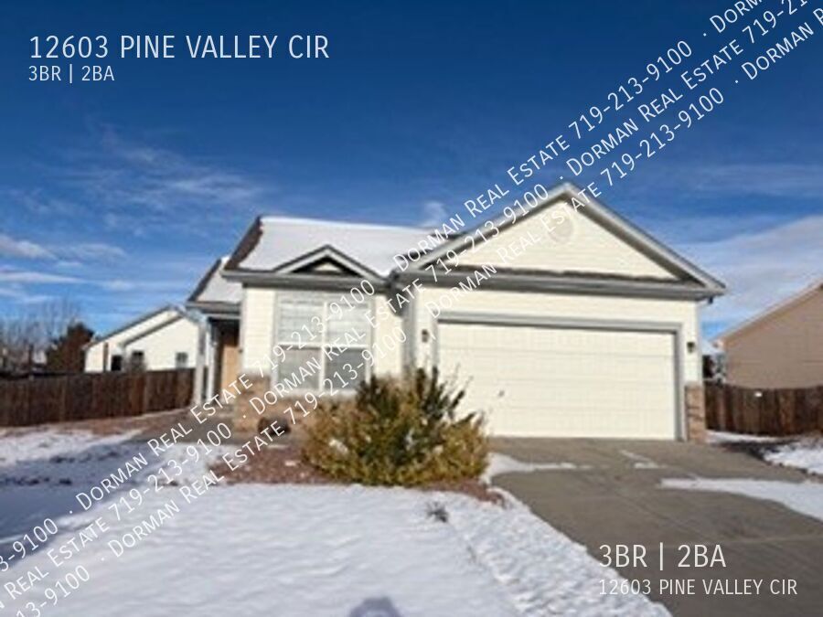 12603 Pine Valley Cir in Peyton, CO - Building Photo