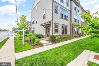 133 Tolocka Terrace NE in Leesburg, VA - Building Photo - Building Photo