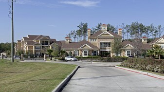 Mansions at Turkey Creek in Humble, TX - Building Photo