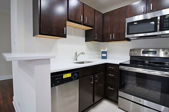 205 E Chestnut St in Chicago, IL - Foto de edificio - Building Photo