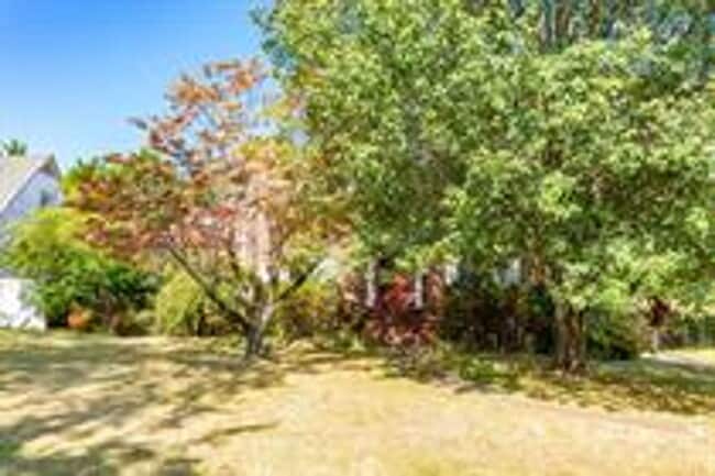 317 Belvoir Ave in Chattanooga, TN - Building Photo - Building Photo