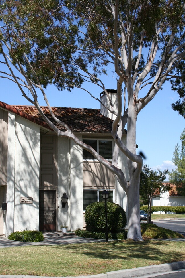 property at 237 Green Lea Pl