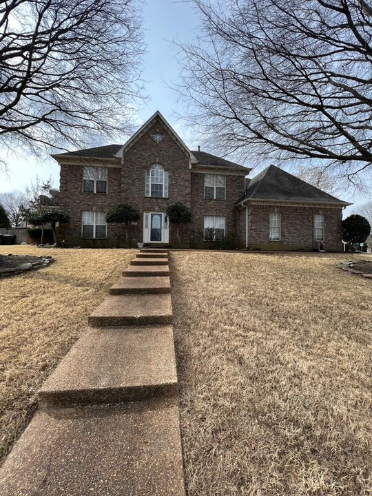 155 Mindy Cir in Collierville, TN - Building Photo