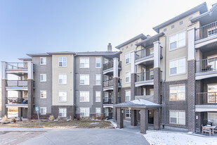 Element at Macewan Apartments