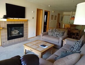 204 Ryan Gulch Rd in Keystone, CO - Building Photo - Building Photo