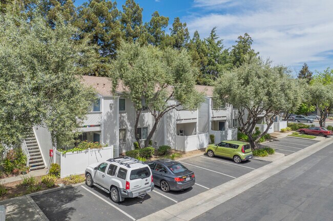 38596 Mary Ter in Fremont, CA - Building Photo - Building Photo