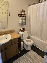 1343 S Cora Ave in Milliken, CO - Building Photo - Building Photo