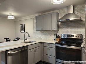 519 Columbus Ave, Unit #1 in Boston, MA - Building Photo - Building Photo