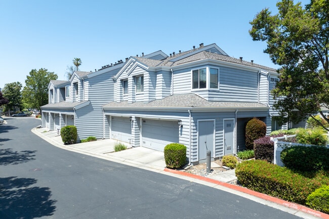 Cabernet Vineyards in San Jose, CA - Building Photo - Building Photo