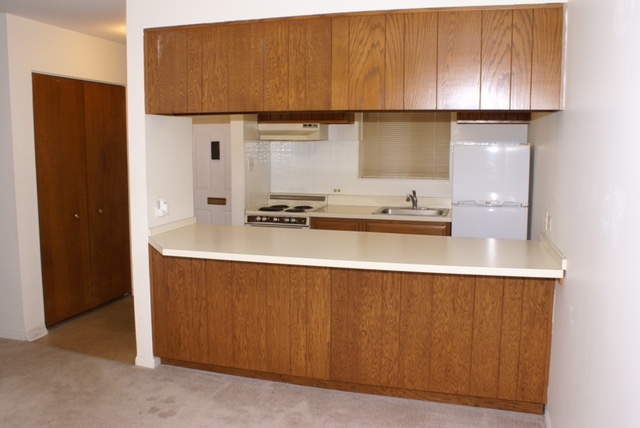 1766 W Granville Ave in Chicago, IL - Building Photo