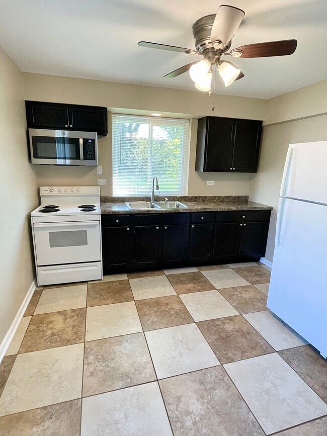 28 N Main St, Unit 1S in Glen Ellyn, IL - Building Photo - Building Photo