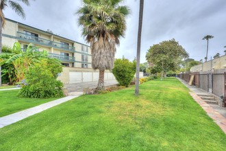 2404 Grandview Ave in Venice, CA - Building Photo - Building Photo