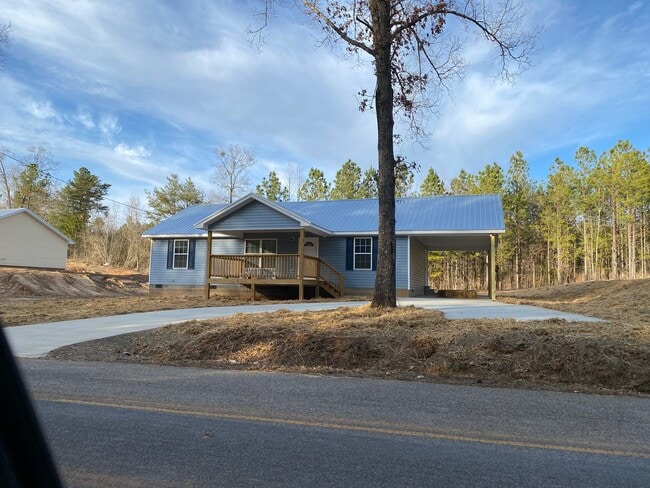 284 Silver Run Rd in Munford, AL - Building Photo - Building Photo