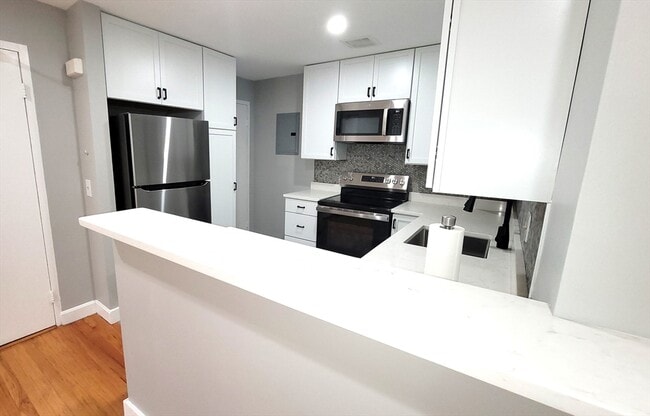 133 Warren St, Unit 5 in Watertown, MA - Building Photo - Building Photo
