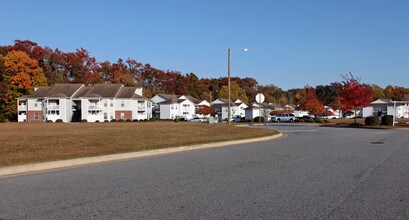The Trellis Apartments in Greenville, NC - Foto de edificio - Building Photo