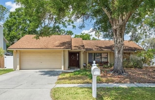 12606 Rain Forest St in Tampa, FL - Building Photo