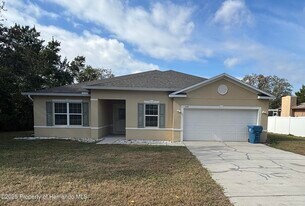 1159 MacFarlane Ave in Spring Hill, FL - Building Photo