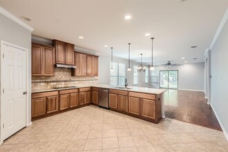 222 Sageleaf Willow in San Marcos, TX - Building Photo - Building Photo