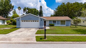 10737 Larissa St in Orlando, FL - Building Photo