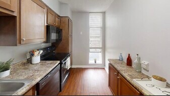 1101 N Elm St in Greensboro, NC - Building Photo