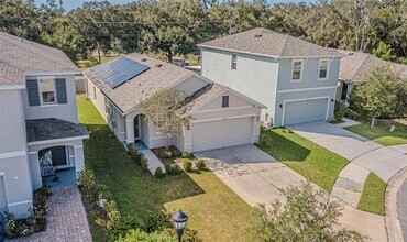 10853 Trailing Vine Dr in Tampa, FL - Building Photo - Building Photo