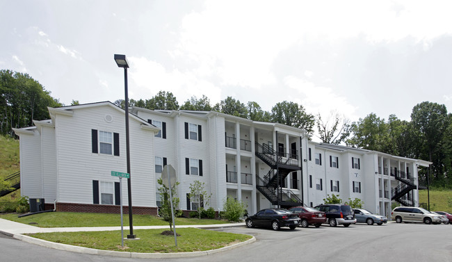 Wilson Village Apartments in Knoxville, TN - Building Photo - Building Photo