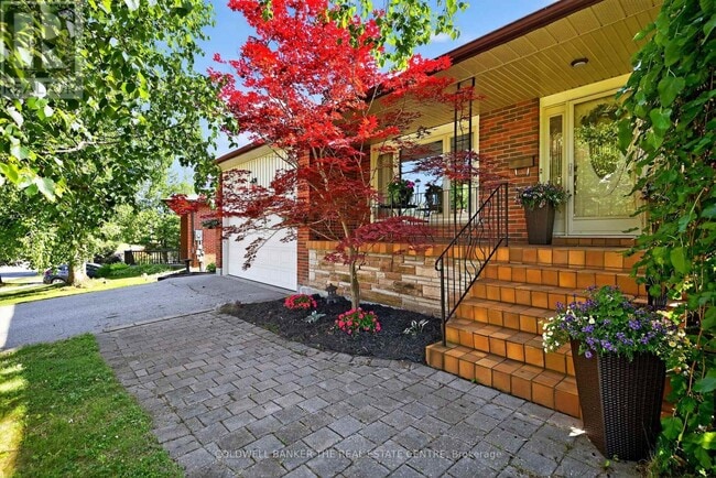 property at 204 Alexander Rd